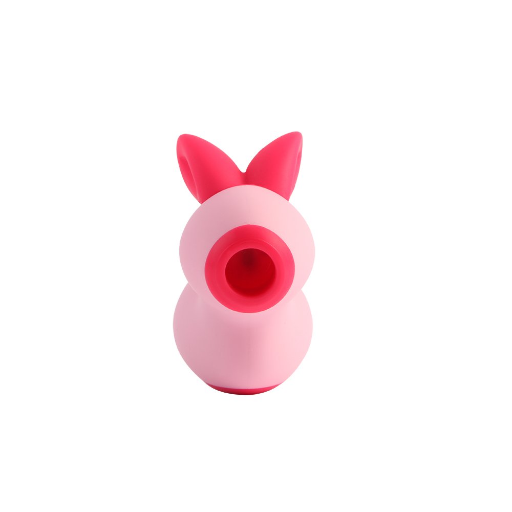 Insuflador vibrador Rabbit Pink CHISA CN-534388486